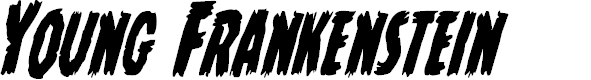 Preview image for Young Frankenstein Condensed Italic