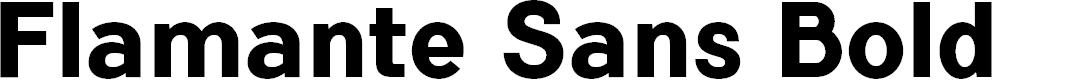 Preview image for FlamanteSansBold