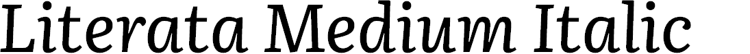 Preview image for Literata Medium Italic