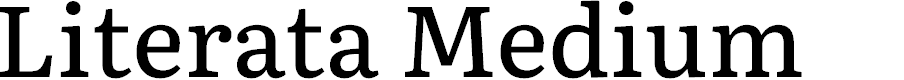Preview image for Literata Medium