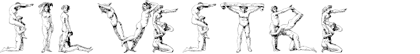 Preview image for SilvestreBodies