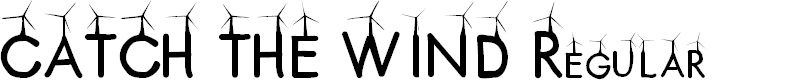 Preview image for CATCH THE WIND Regular