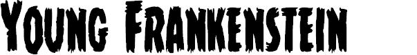 Preview image for Young Frankenstein Condensed
