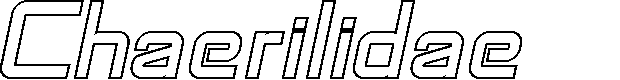 Preview image for SF Chaerilidae Outline Oblique