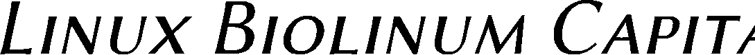 Preview image for Linux Biolinum Capitals Italic