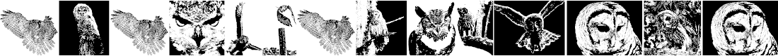 Preview image for AParliamentofOwls2