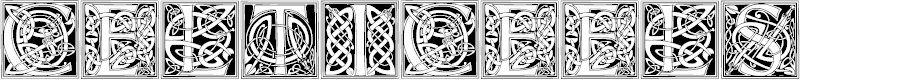Preview image for CelticEels