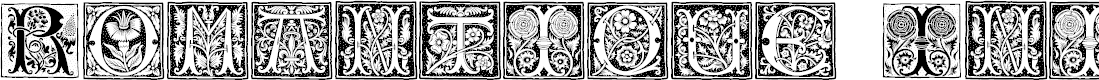 Preview image for RomantiqueInitials