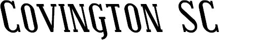 Preview image for Covington SC Rev Bold Italic