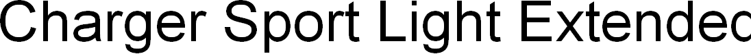 Preview image for Charger Sport Light Extended Oblique