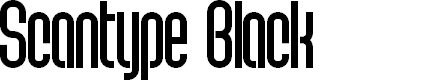 Preview image for Scantype Black PERSONAL USE