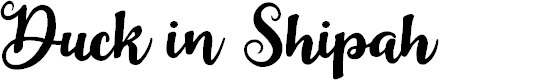Preview image for Duck in Shipah