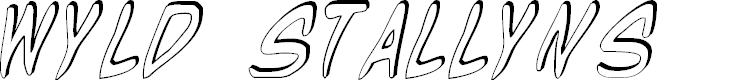Preview image for Wyld Stallyns Shadow