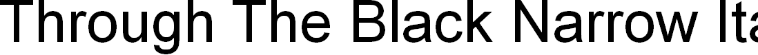 Preview image for Through The Black Narrow Italic