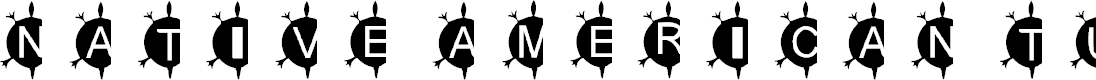 Preview image for AEZ Native American Turtle