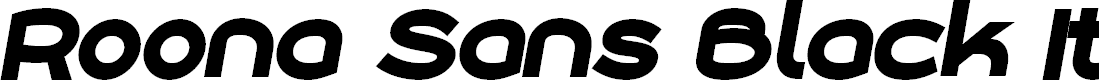 Preview image for Roona Sans Black PERSONAL Italic