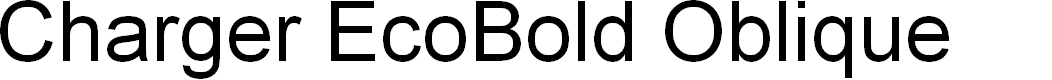 Preview image for Charger EcoBold Oblique