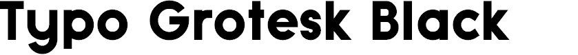 Preview image for Typo Grotesk Black