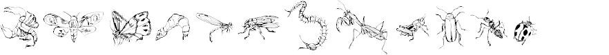 Preview image for DingTheInsect