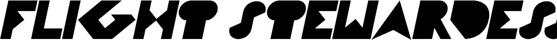 Preview image for FLIGHT STEWARDESS Bold Italic