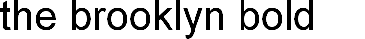 Preview image for the brooklyn bold