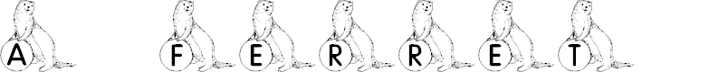 Preview image for KR A Ferret for Angel