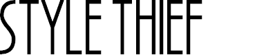 Preview image for Style Thief