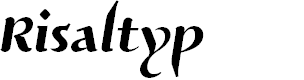 Preview image for Risaltyp
