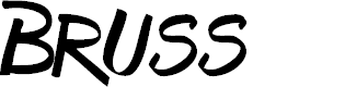 Preview image for Bruss