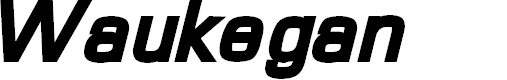Preview image for Waukegan LDO Black Oblique