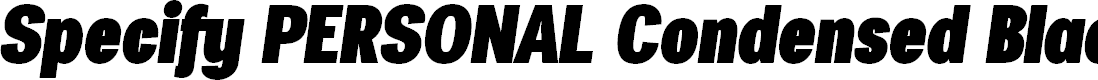 Preview image for Specify PERSONAL Condensed Black Italic