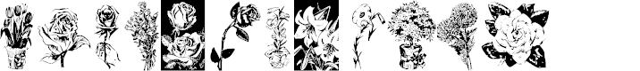 Preview image for KR Beautiful Flowers