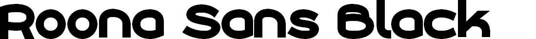 Preview image for Roona Sans Black PERSONAL