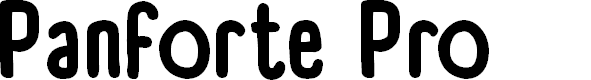 Preview image for Panforte Pro Bold