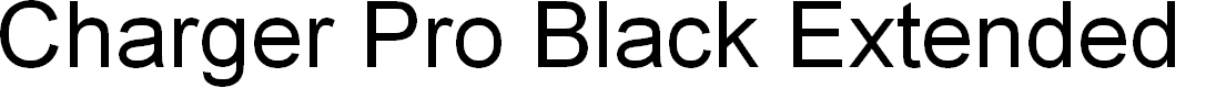 Preview image for Charger Pro Black Extended