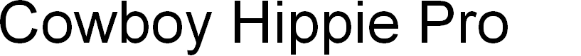 Preview image for CowboyHippiePro