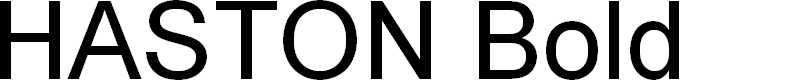 Preview image for HASTON Bold