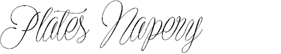 Preview image for Plates Napery Personal Use
