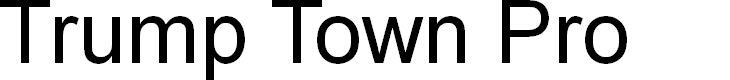 Preview image for TrumpTownPro