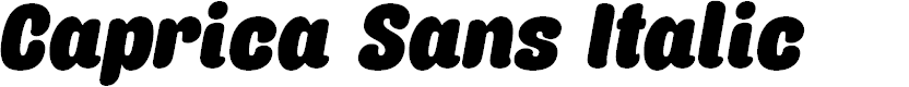 Preview image for Caprica Sans It Personal Use