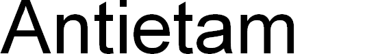 Preview image for Antietam Expanded Italic