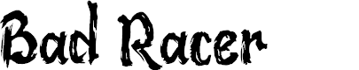 Preview image for Bad Racer