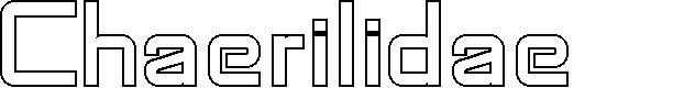 Preview image for SF Chaerilidae Outline
