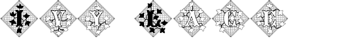 Preview image for JFIvyLace