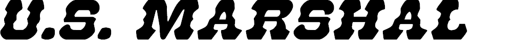 Preview image for U.S. Marshal Italic