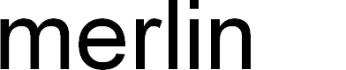 Preview image for merlin