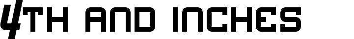 Preview image for 4th and Inches