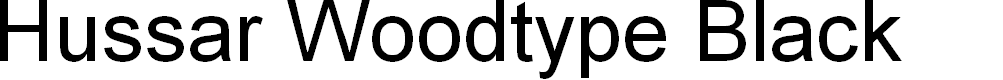 Preview image for Hussar Woodtype Black