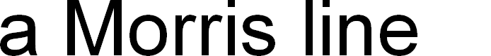 Preview image for AMorrisline