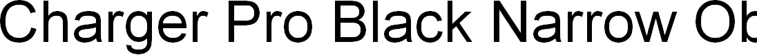 Preview image for Charger Pro Black Narrow Oblique